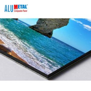 Best Printable Nano Exterior PE Aluminum Composite Panel 0.5mm ACM Cladding Panels Acidity Resistance wholesale