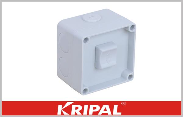 Cheap Single Pole Single Throw Switch Isolator Socket with Surface Mounting for sale