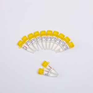 Best 400 Reactions NGS Library Construction PCR Master Mix Reagents wholesale