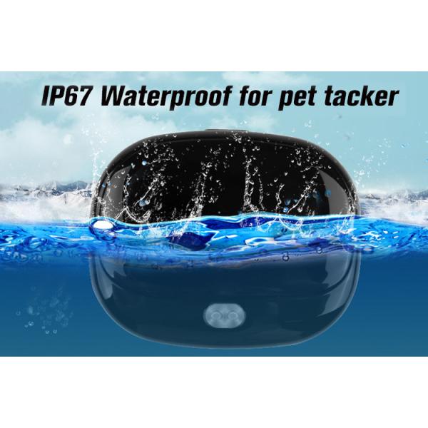 35g Black Smart Dog Collar Gps Tracker Low Battery Alarm