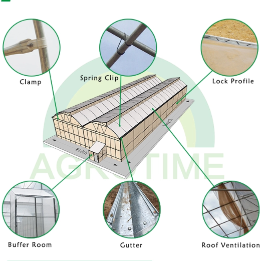 6mm Plastic Polyethylene Film Greenhouses With Irrigation System