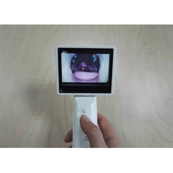 3.5 " LCD Screen Veterinary Otoscope ENT Endoscope Camera Handheld Video