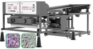 China Precise Removal Quartz Color Sorter Machine With CCD Camera on sale