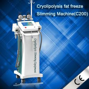 Best Non Surgical Weight Loss Cryolipolysis Slimming Machine 2mhz RF For Spa wholesale