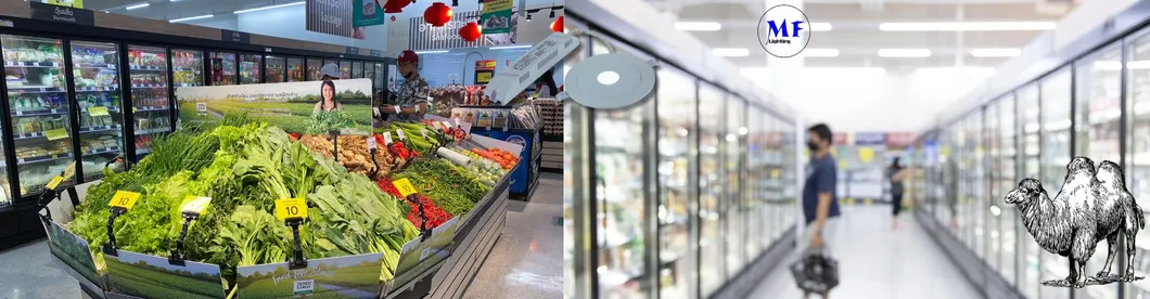 IP43 LED Emergency Spot Ceiling Down Light 3W Recessed Mount Downlights