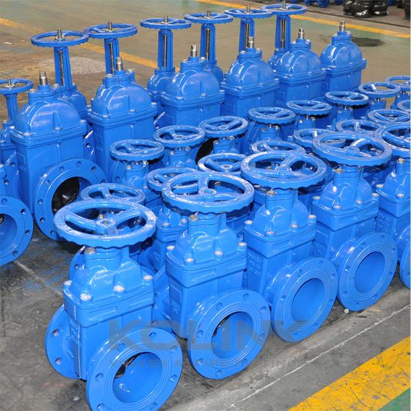 Cast Iron Resilient Seated Gate Valve 2-36 Inch Class 150-900