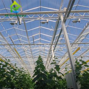 China Commercial Multispan Large Venlo Glass Greenhouse Hot Galvanized Steel Frame on sale