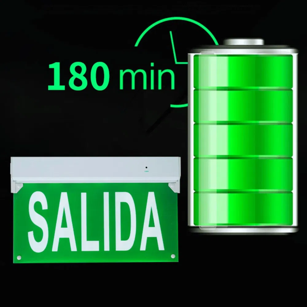 IP43 LED Emergency Spot Ceiling Down Light 3W Recessed Mount Downlights