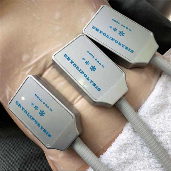 EMS frequency 30HZ Cryolipolysis Fat Freezing Machine