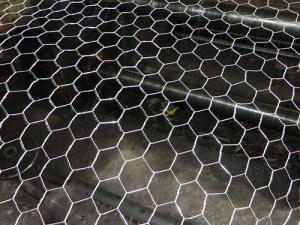 Best 5/8&quot; Hexagonal Wire Netting Positive Twist Reverse Twist Double Twist wholesale