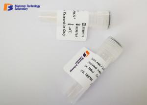 Best Highly Specific Mouse Source ING2 Rabbit Protein Monoclonal Antibody wholesale