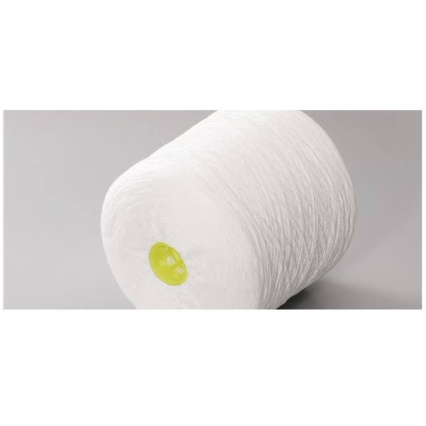 100D/36F Denier White Garment Textile Polyester Yarn High Thread 30/1