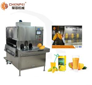 China Food Grade SS304 Dried Mango Processing Machine Processing Line 380V / 220V on sale