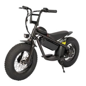 Best 48V 250W Kids Electric Bike Perfect for Outdoor Child Toys and Outdoor Sports Riding wholesale