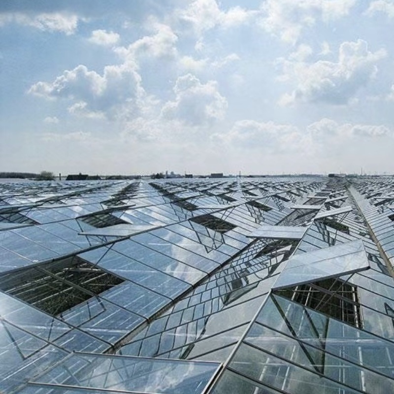 Trademarked Ju Xiang Glass Greenhouse