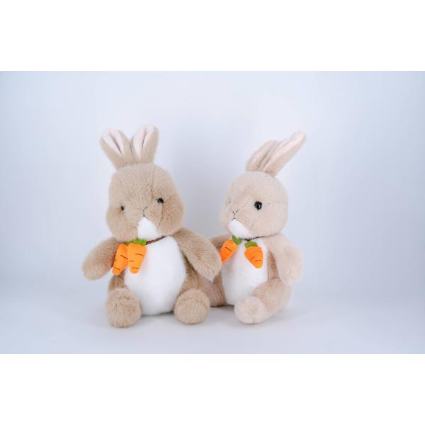 OEM Custom Design Made Mascot Dolls Carrot Rabbit Holding Cute Plush Toy