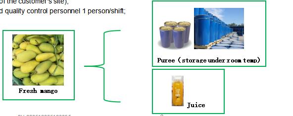 Fresh Mango Bottle Packing Fruit Juice Production Line 2 Tons Per Hour