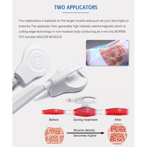 High Pulsed Professional 220v Ems Muscle Stimulator Machine