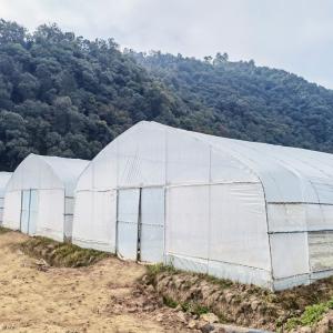 Best Hot Galvanized Steel Frame Tropical Fruit Grow Greenhouse Commercial Greenhouses For Sale wholesale