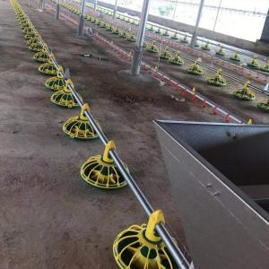 China PP Material Automatic Poultry Feeder For Broiler CE Certification on sale