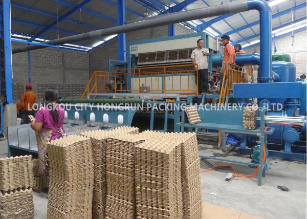 Cheap Fully Automatic Chicken Farm Pulp Egg Tray Machine With Multilayer Drying Line for sale