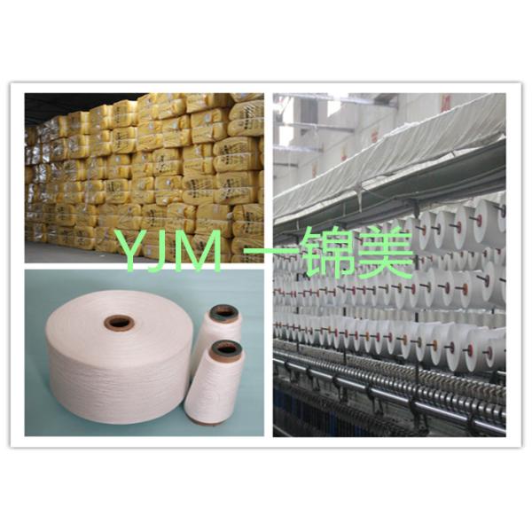 60S/2 60s/3 High Tenacity Polyester Spun Yarn On Dyeing Cone Or Paper Cone