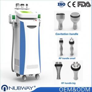 China hot sale top quality cryolipolysi fat removal machine on sale