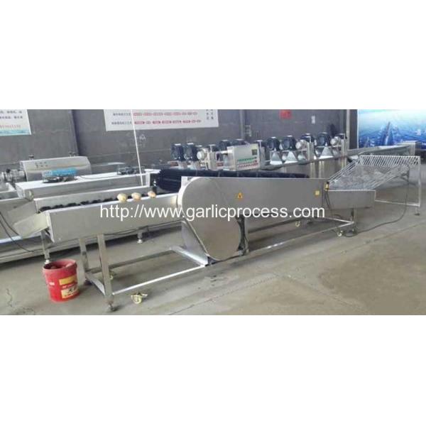 Garlic Dry Cleaning Machine