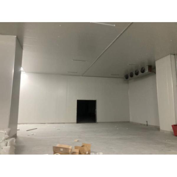 Assembled Cold Storage Room with Customized Request and Compressor Unit Accessories