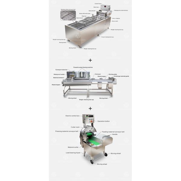 Industrial Fruit And Vegetable Processing Line Brush Bubble Cleaning Drying Selection And Cutting