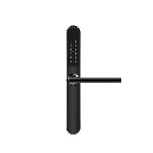 Best Keypad Bluetooth WiFi Electronic Door Locks Keyless Entry Automatic Password Lock wholesale