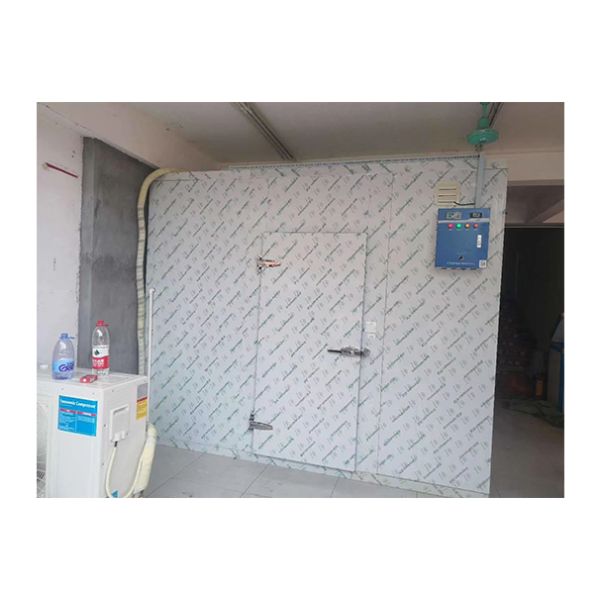 Commercial Customized Fruit/Vegetable/Fresh Meat Multifunctional Storage Refrigerated Cold Storage