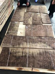 8% Moisture American Black Walnut Veneer