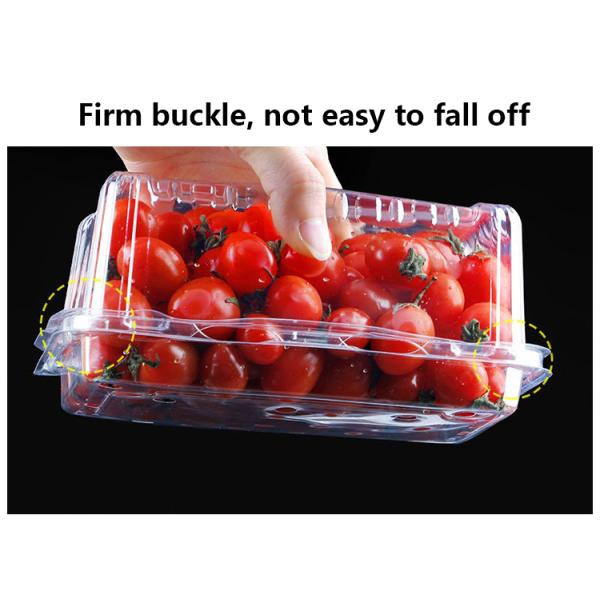 Customizable Disposable bowl with different material options suitable for various fruits and vegetables