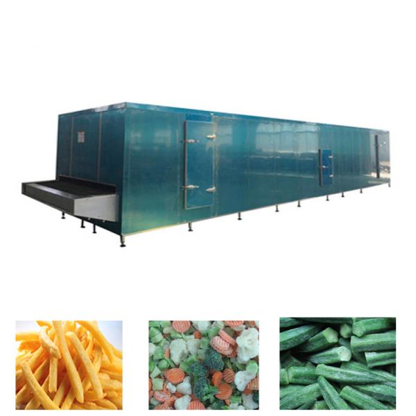 IQF Quick Freezing Refrigeration Food Freezing Machine