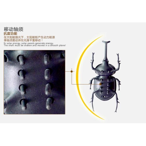 Promotional Solar Toys Solar Powered Beetle Insect Knowledge Educational Toys Multiage Kids Toys