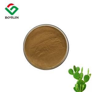 Best Food grade opuntia dillenii extract CAS 532-32-1 cactus extract weight loss wholesale