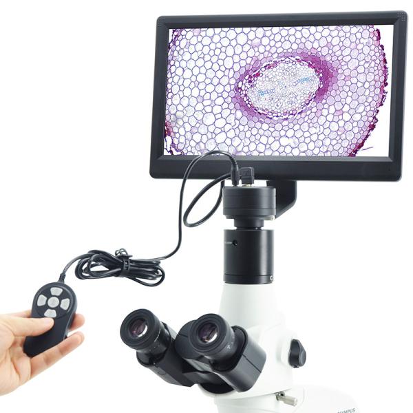 Cheap 1/2.8" Sony CMOS Lcd Digital Microscope Camera 12.5" 1080p HDMI 2.0M A59.4950 for sale