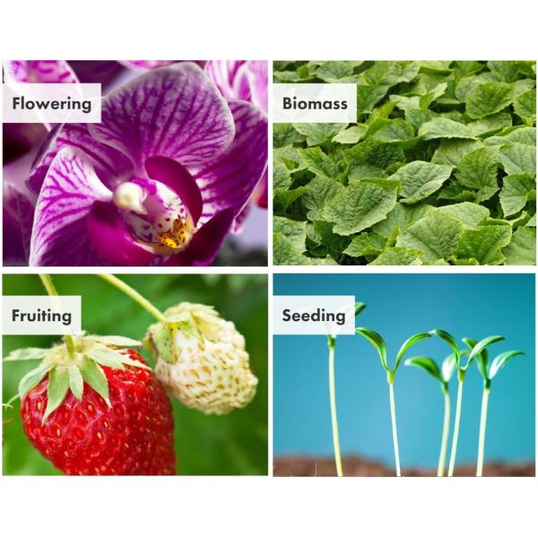 460NM SMD 3535 Led Chips