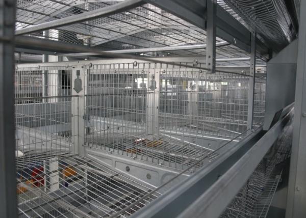 Cheap A Frame Commercial Poultry Equipment Poultry Shed Customized Size for sale