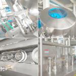 LWT Cucumber Slice Can specialized Precision Filling Machine with High