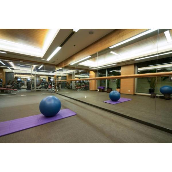 Eco Friendly Material Anti Burst Exercise Ball With High Bearing Strength