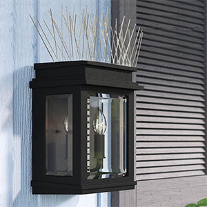 Spikes for birds animal stainless steel bird spikes window sills