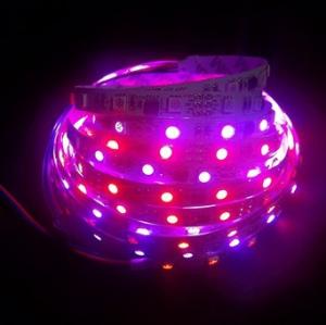 China DMX Control Digital magic dream color flexible led strip light on sale