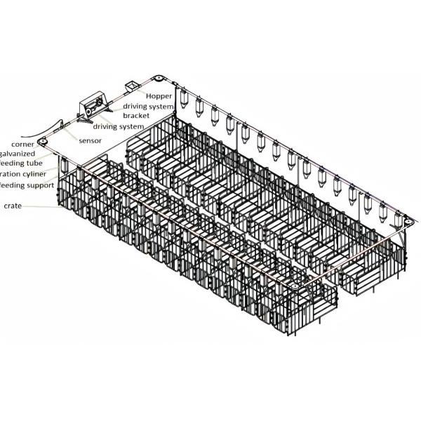 Insulation Fireproof Piggery Shed Poultry Farm Shed Building