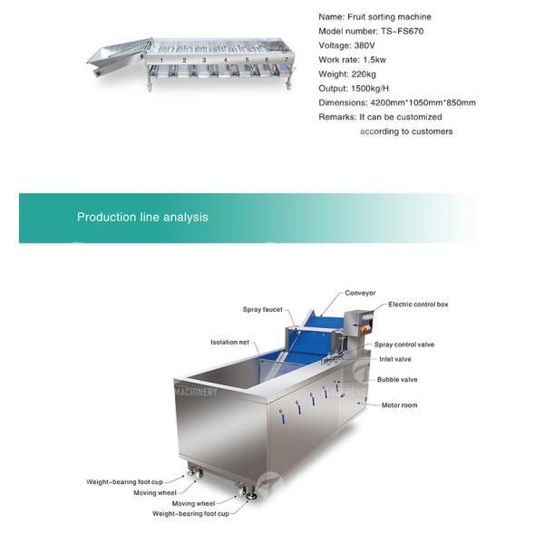 Drying Sorting Circulating Surfing Fruit And Vegetable Processing Line Apple Tengsheng