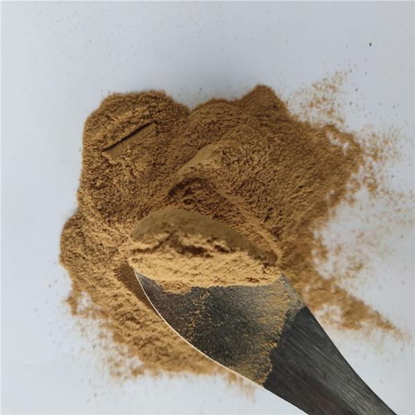 Cheap wholesale energy supplement anti cancer cat's claw extract for sale