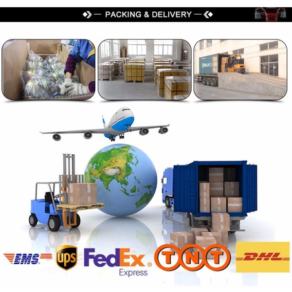 Heavy Duty Truck Fuel Filter LFF6816 23533726 P556917 FF5333 BF5816