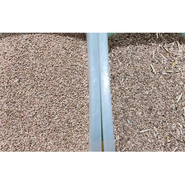 LED CCD Small Quinoa Wheat Color Sorter Machine 1 Chute