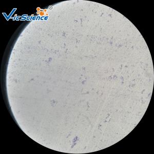Best Customized Teaching Histology Glass Slides Set 93pcs VIC07 Odm Service wholesale